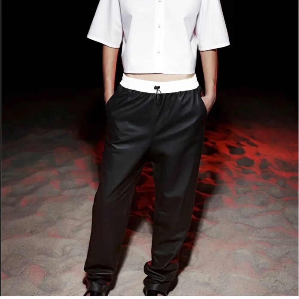 Alexander Wang Leather Pants